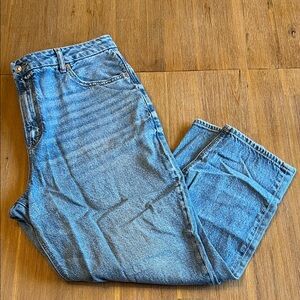 American Eagle Curvy Mom Jeans